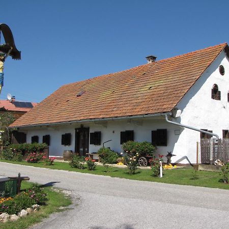 Homestay Kapl Ledinek Экстерьер фото