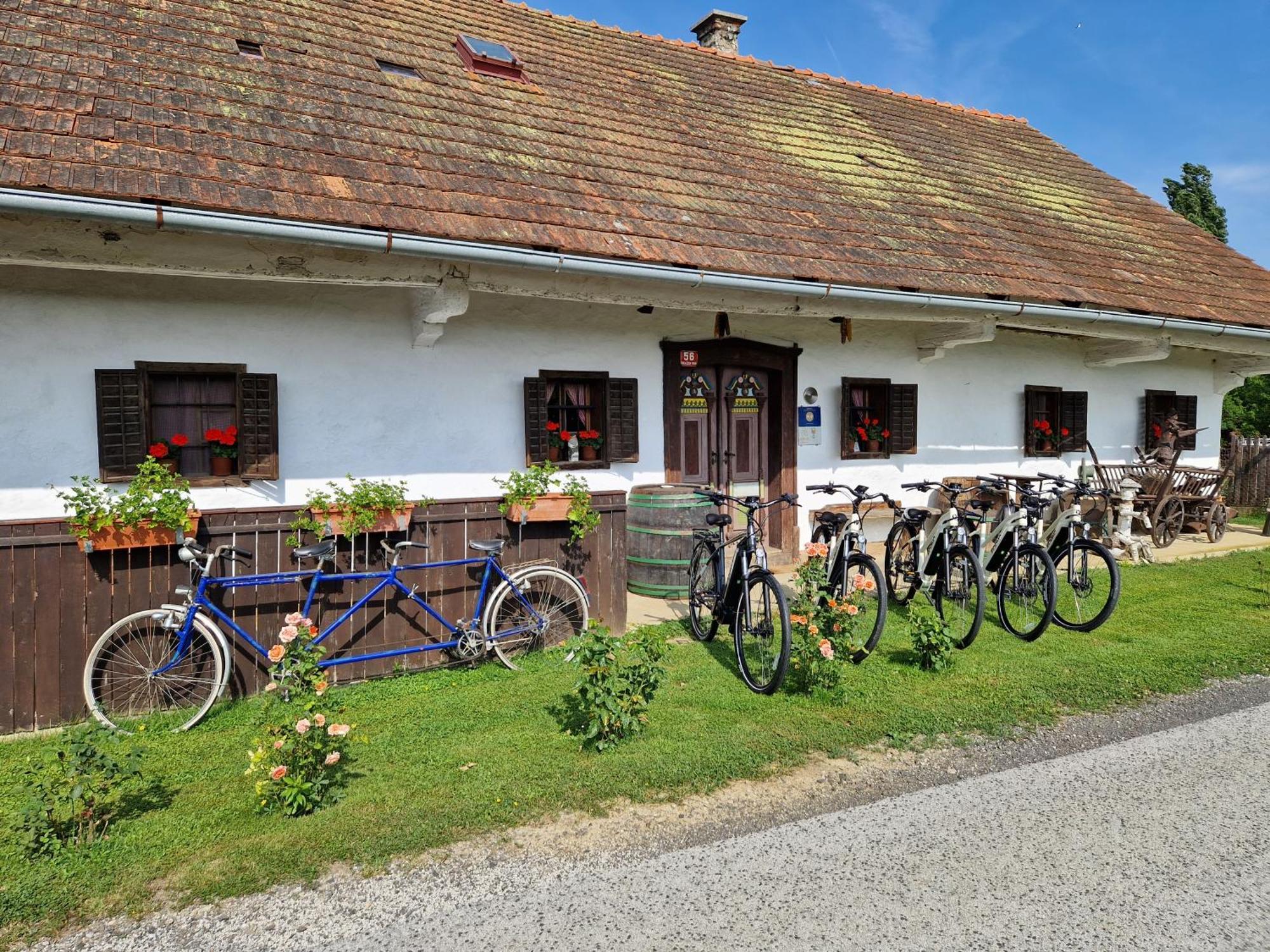 Homestay Kapl Ledinek Экстерьер фото