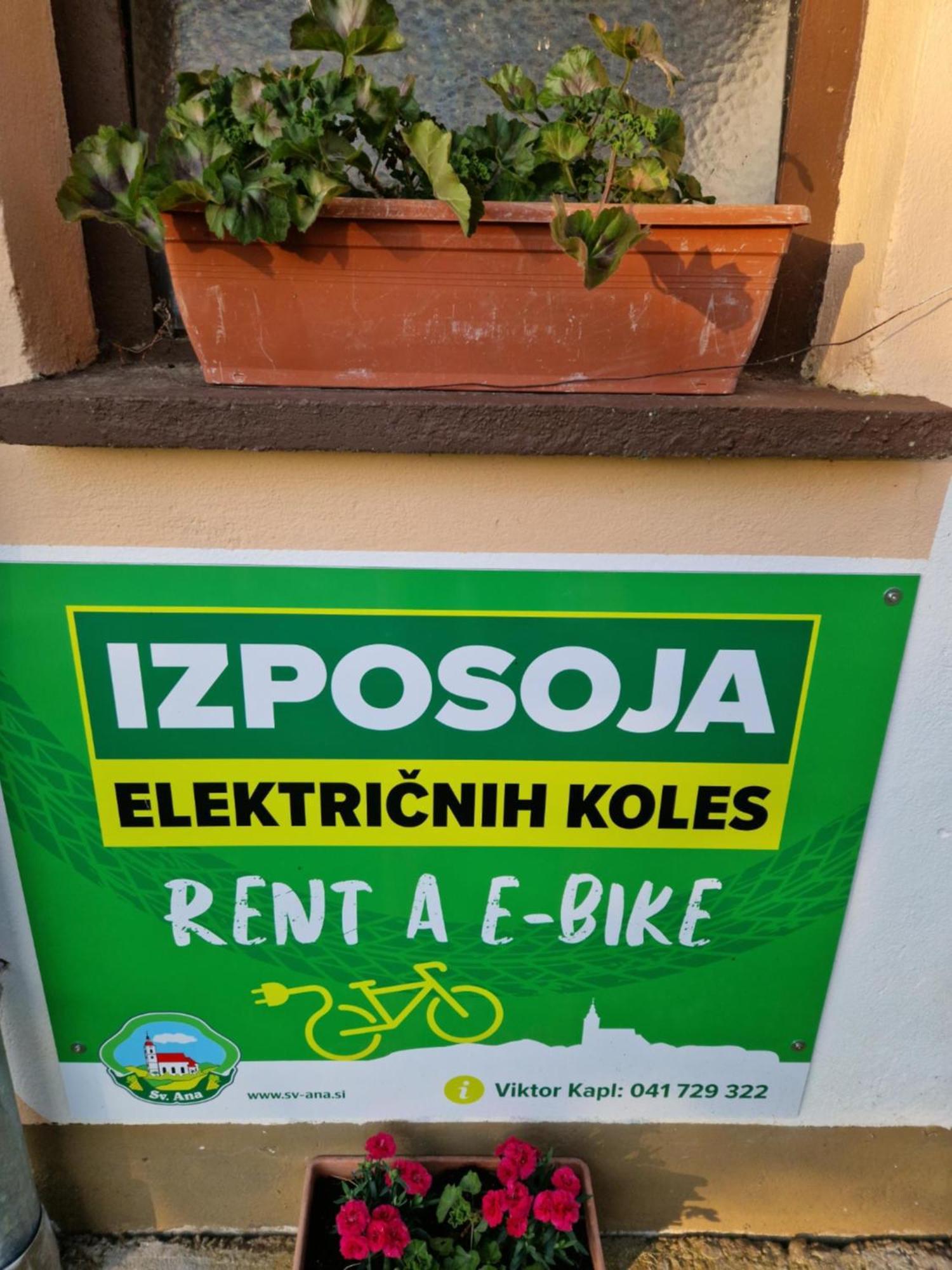 Homestay Kapl Ledinek Экстерьер фото