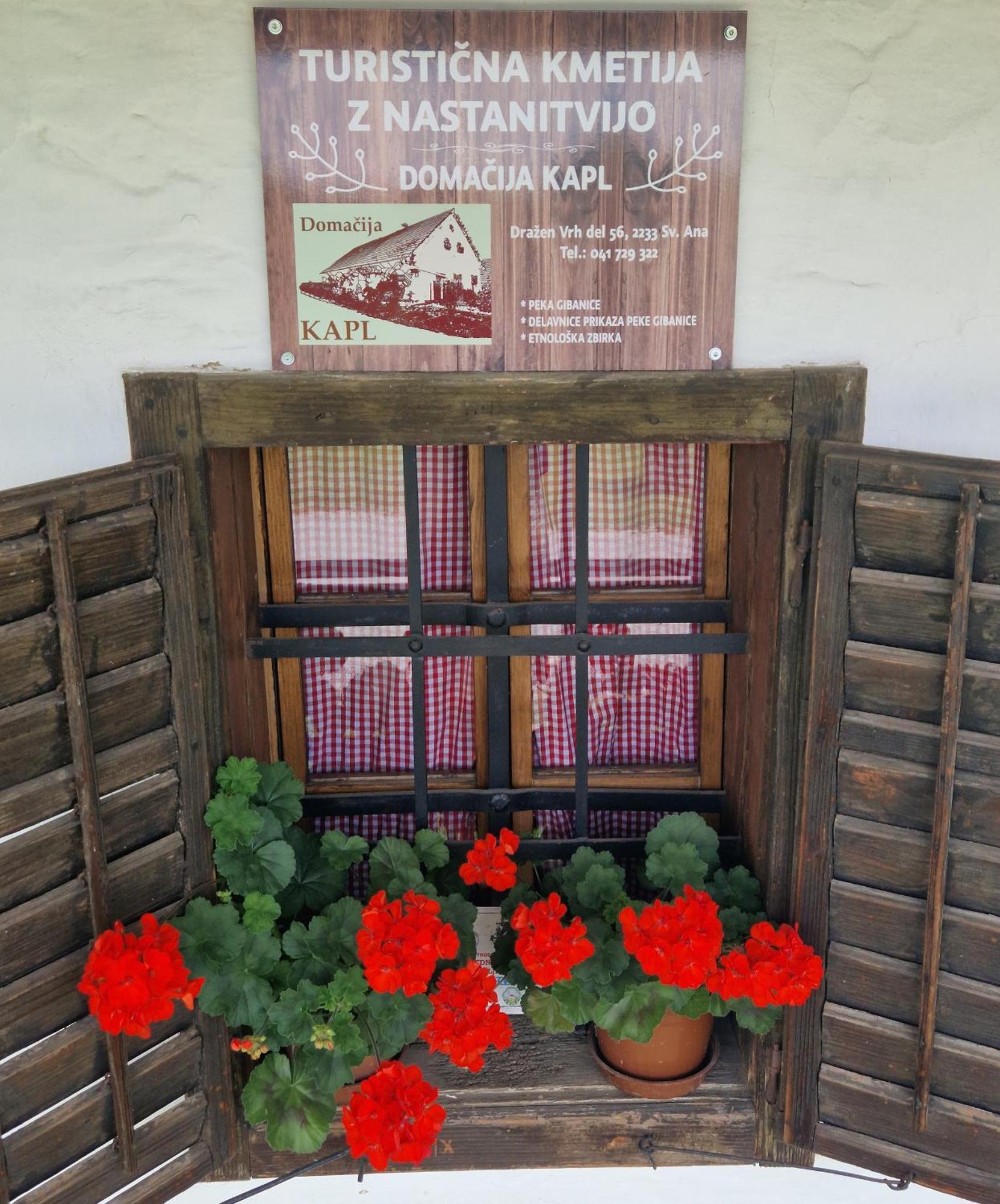 Homestay Kapl Ledinek Экстерьер фото